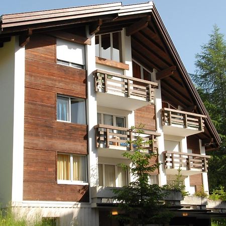 Charming And Cosy Apartment Mürren Exterior foto